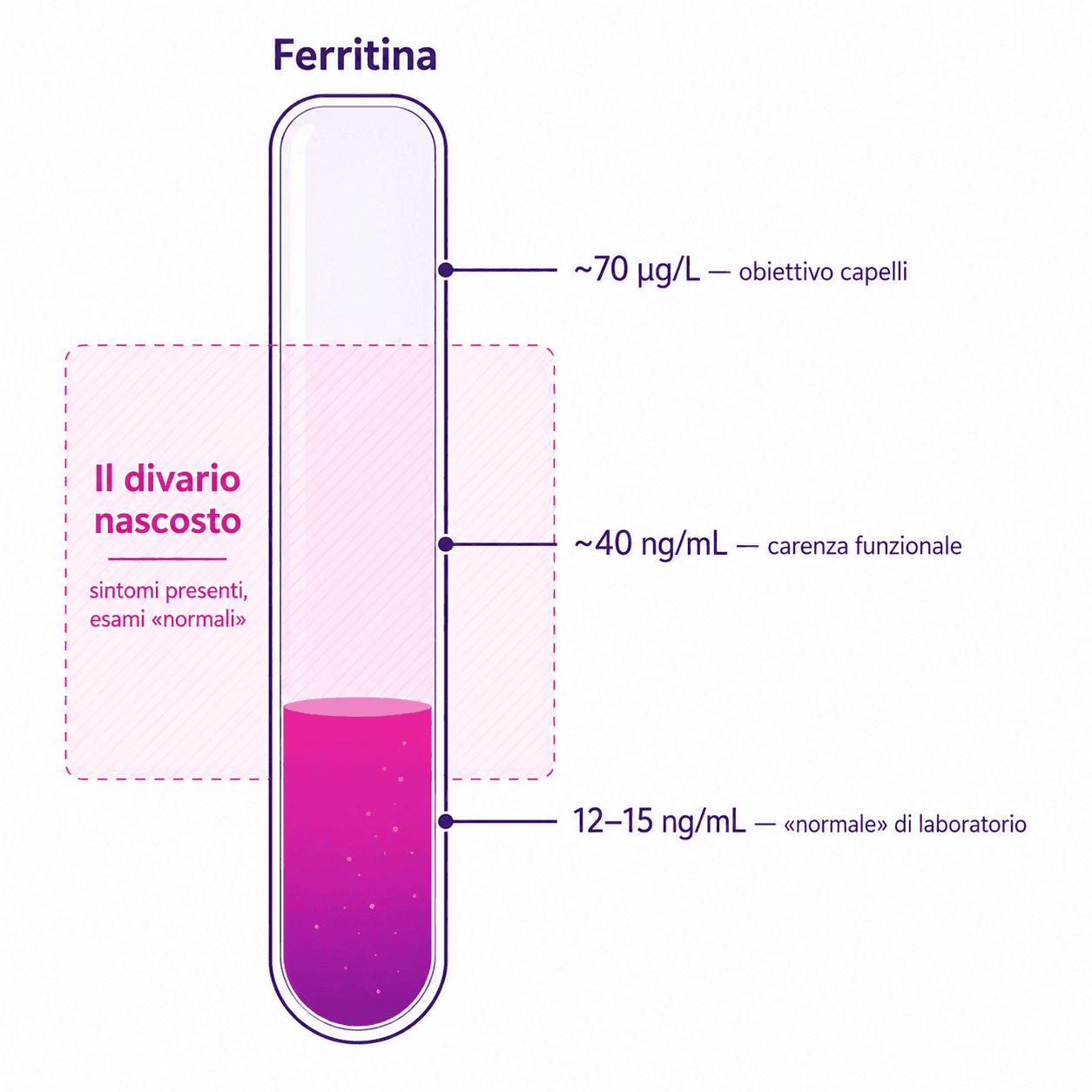 Die Ferritin-Schwellen: „normal“ ab 12 ng/mL, funktioneller Mangel bei ~40, Zielwert für die Haare bei ~70 µg/L
